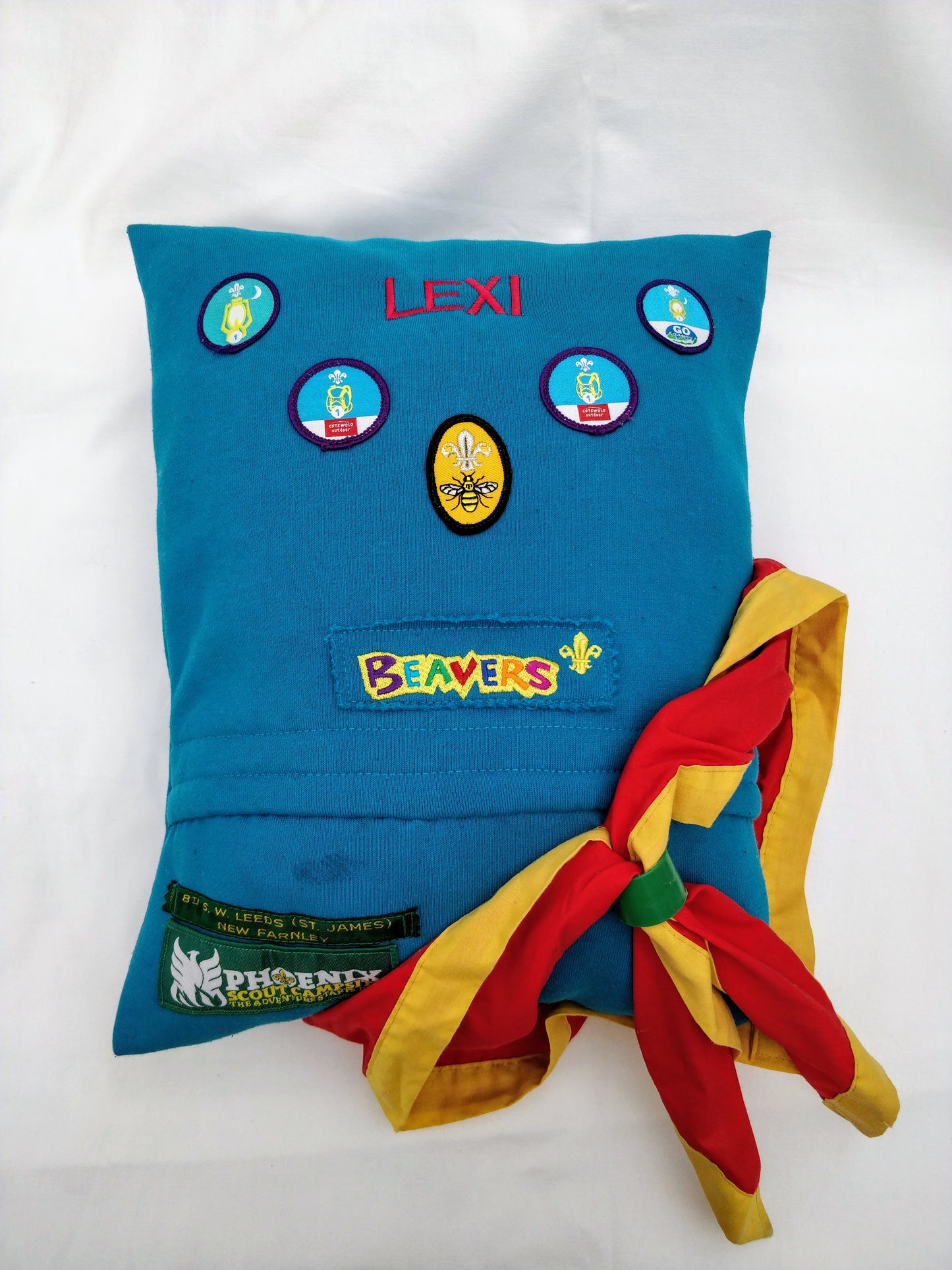 Beavers / Cubs / Scouts / Brownies / Girl Guides Cushions